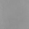 81